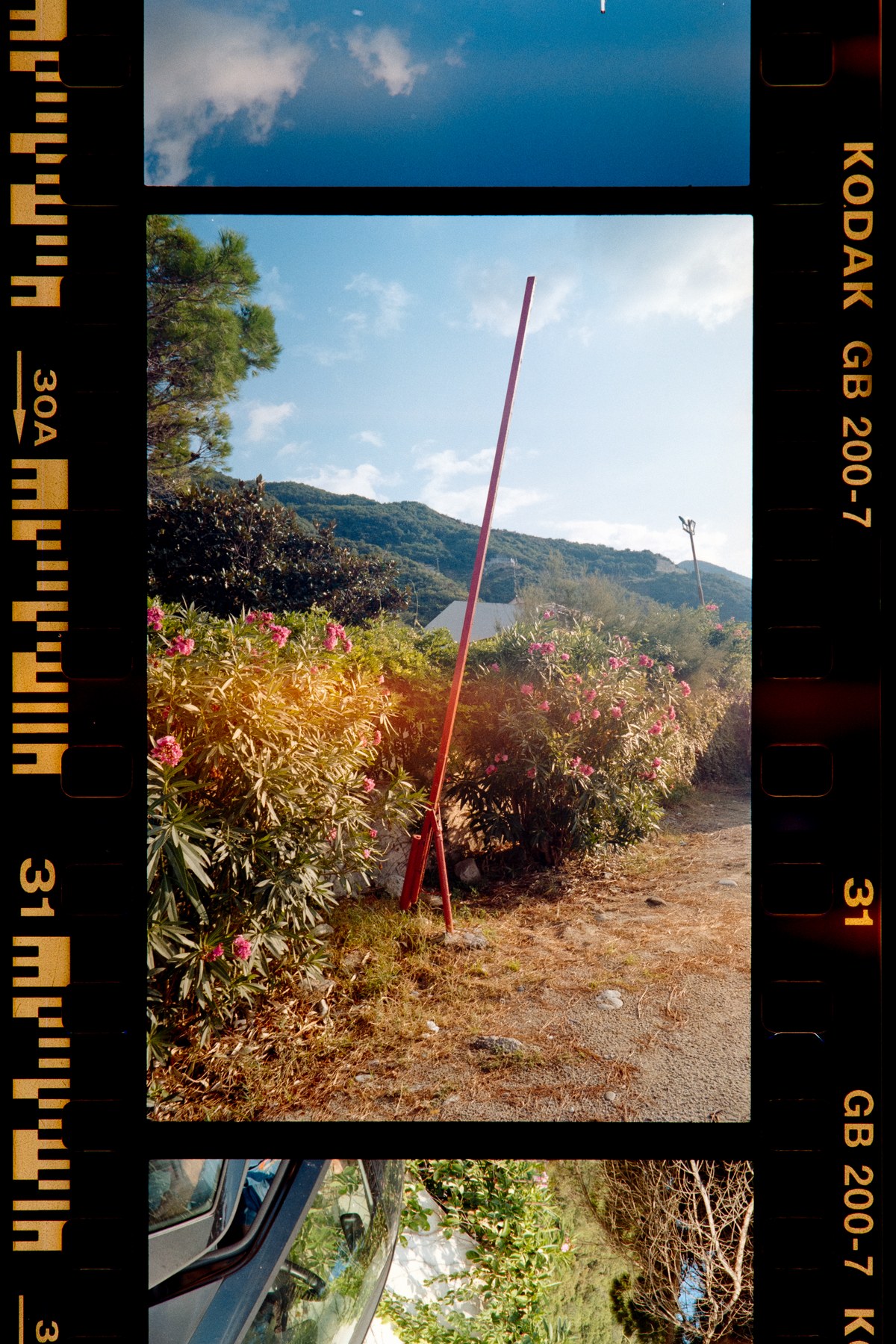 Kodak Gold 200